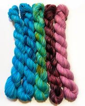 Load image into Gallery viewer, Mini Skein Set #3
