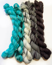 Load image into Gallery viewer, Mini Skein Set #5
