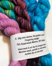 Load image into Gallery viewer, Mini Skein Set #3
